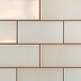 Vector Hueso White 4x8 Polished Ceramic Subway Tile - Lux Tile