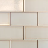 Vector Hueso White 4x8 Polished Ceramic Subway Tile