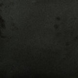 Emser 5-Pack Absolute Black 12-in x 24-in Polished Natural Stone Granite Tile