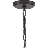 Progress Lighting Blakely Collection 4-Light Graphite Modern Chandelier Light