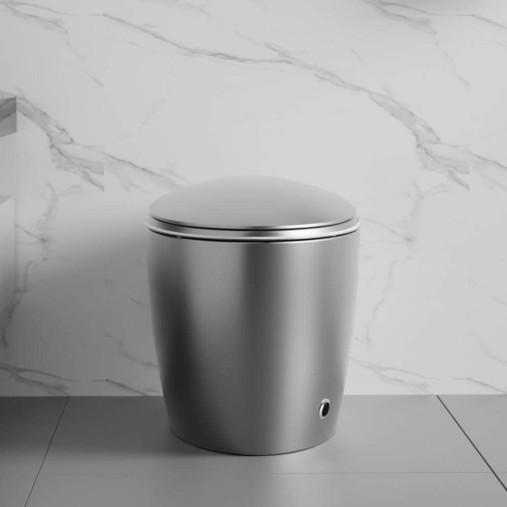 Unbranded Oblong Smart Toilet Bidet in Gray with Advanced Features