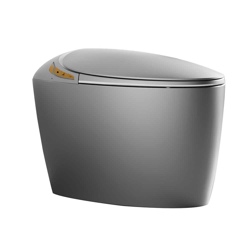 Unbranded Oblong Smart Toilet Bidet in Gray with Advanced Features