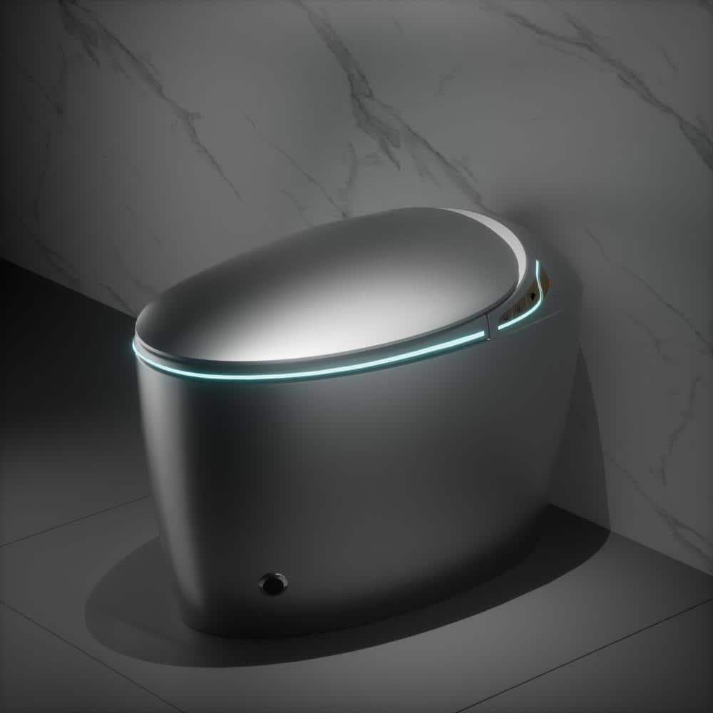 Unbranded Oblong Smart Toilet Bidet in Gray with Advanced Features