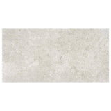 Daltile Roswell 12 in. x 24 in. Gray Glazed Porcelain Floor and Wall Tile (15.6 sq. ft. / Case)