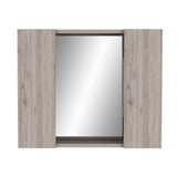 Cesicia 23.6 in. W x 19.5 in. H Rectangular Gray Particle Board Double Door Medicine Cabinet with Mirror