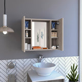 Cesicia 23.6 in. W x 19.5 in. H Rectangular Gray Particle Board Double Door Medicine Cabinet with Mirror