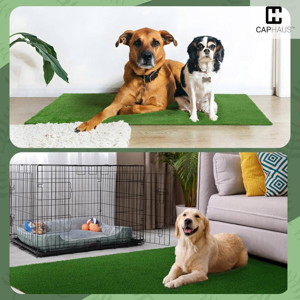 CAPHAUS Green 6 ft. x 10 ft. Artificial Grass Turf, Grass Pad Mat for Pets, Fake Grass Rugs for Garden, Lawn, Patio & Balcony