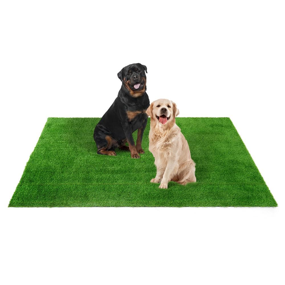 CAPHAUS Green 6 ft. x 10 ft. Artificial Grass Turf, Grass Pad Mat for Pets, Fake Grass Rugs for Garden, Lawn, Patio & Balcony