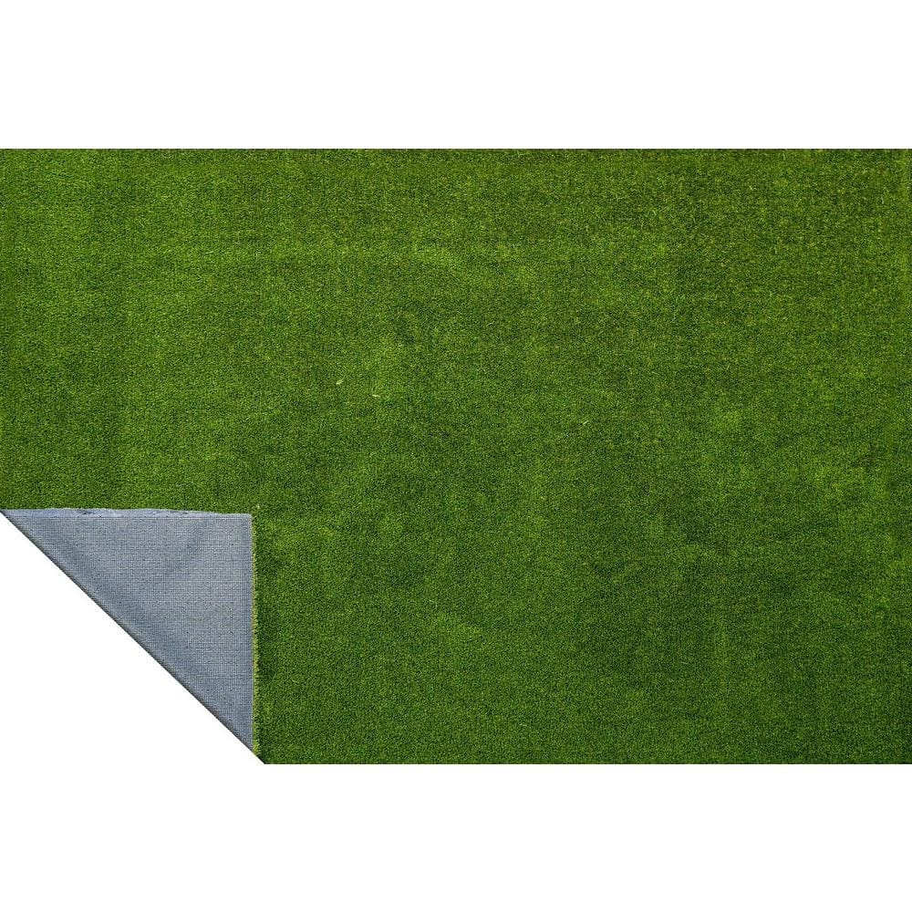 GREENLINE ARTIFICIAL GRASS Classic 54 Fescue 15 ft. Wide x Cut to Length Green Artificial Grass Carpet
