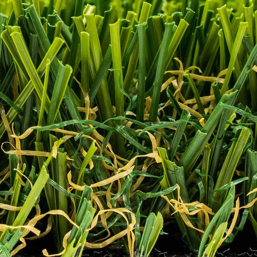 GREENLINE ARTIFICIAL GRASS Santa Monica Fescue 15 ft. W x Cut to Length Green Artificial Grass Turf