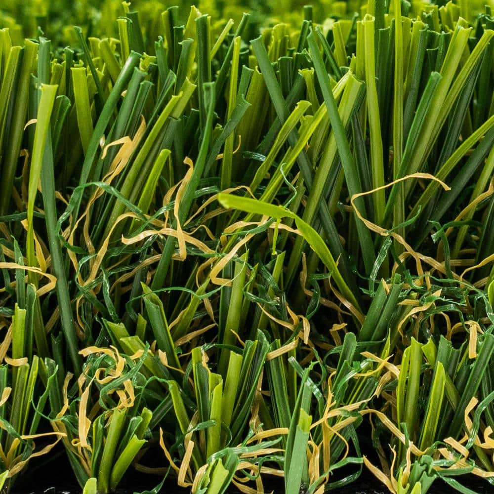 GREENLINE ARTIFICIAL GRASS Santa Monica Fescue Pro 15 ft. W x Cut to Length Green Artificial Grass Turf