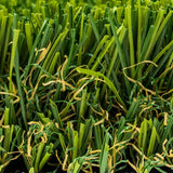 GREENLINE ARTIFICIAL GRASS Santa Monica Fescue Pro 15 ft. W x Cut to Length Green Artificial Grass Turf