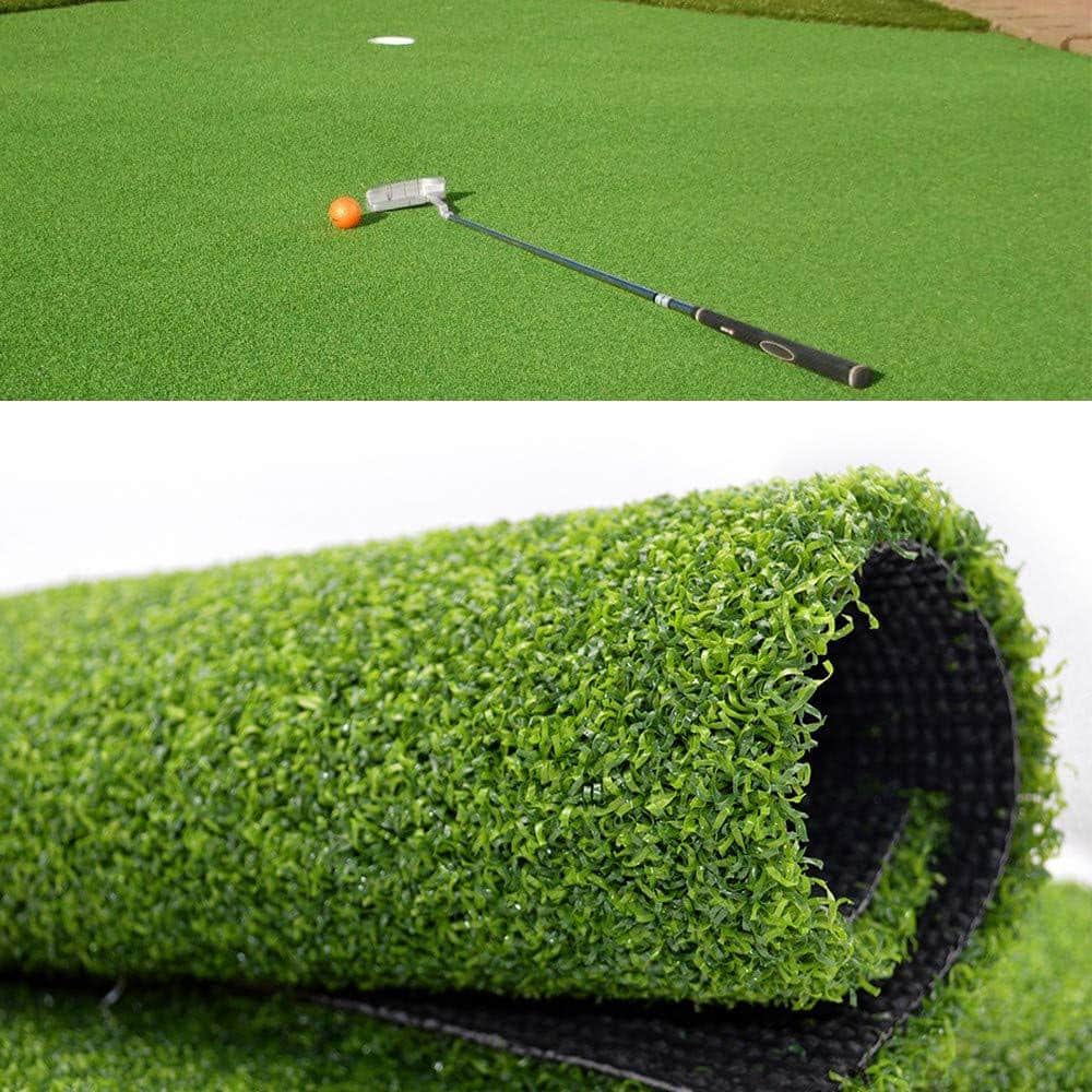 LITA GOLF Putting Green 4 ft. x 6 ft. Green Artificial Grass Turf