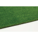 Nance Carpet and Rug ParkPro Multipurpose 12 ft. Wide x Cut to Length Green Artificial Grass