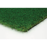 Nance Carpet and Rug ParkPro Multipurpose 12 ft. Wide x Cut to Length Green Artificial Grass