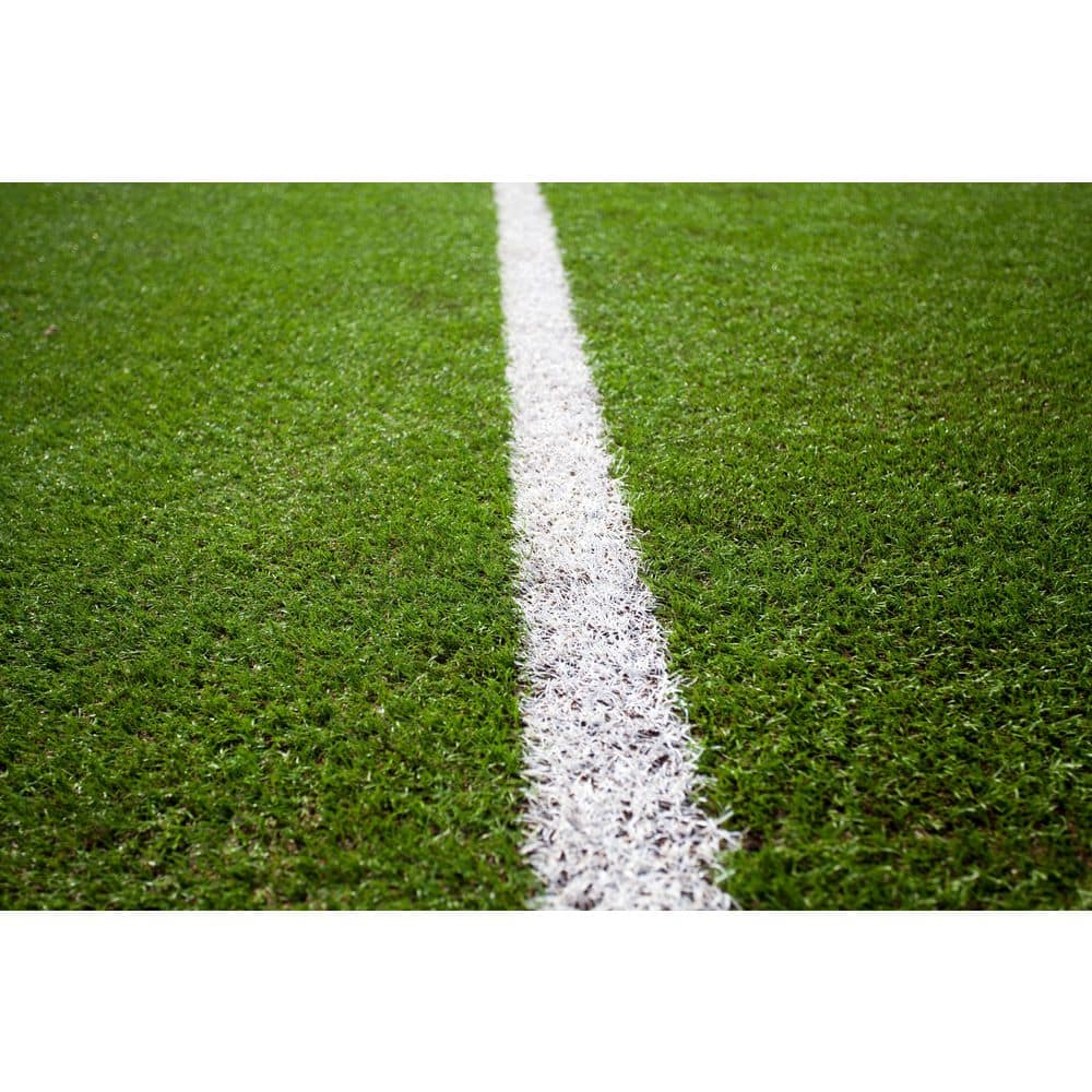 Nance Carpet and Rug ParkPro Multipurpose 12 ft. Wide x Cut to Length Green Artificial Grass