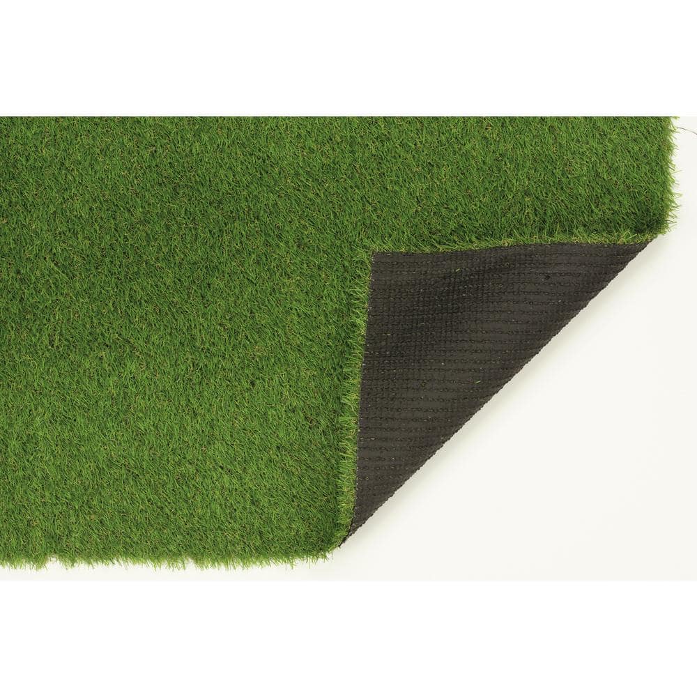 Nance Carpet and Rug Turf 6 ft. x 9 ft. Green Artificial Grass Rug