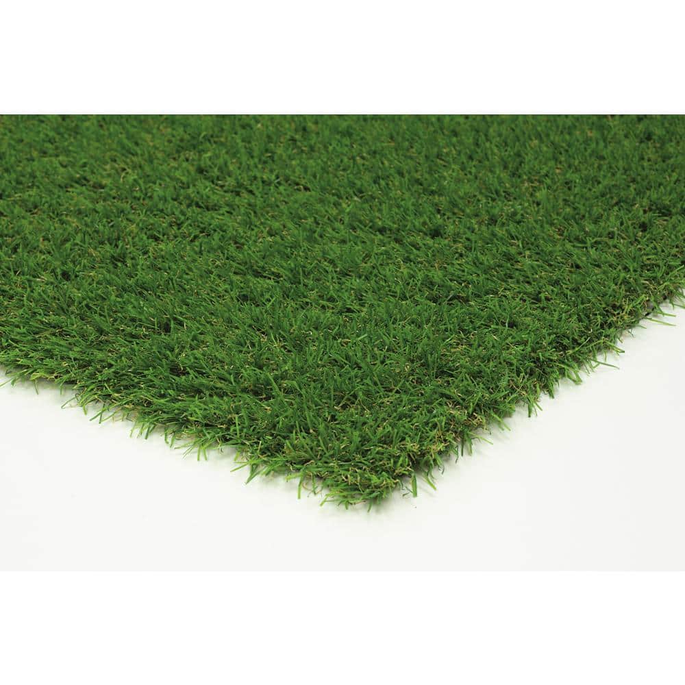 Nance Carpet and Rug Turf 6 ft. x 9 ft. Green Artificial Grass Rug