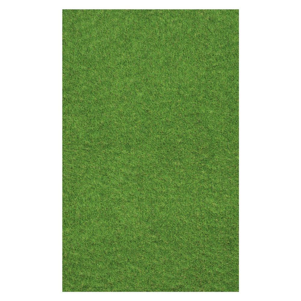 Nance Carpet and Rug Turf 6 ft. x 9 ft. Green Artificial Grass Rug