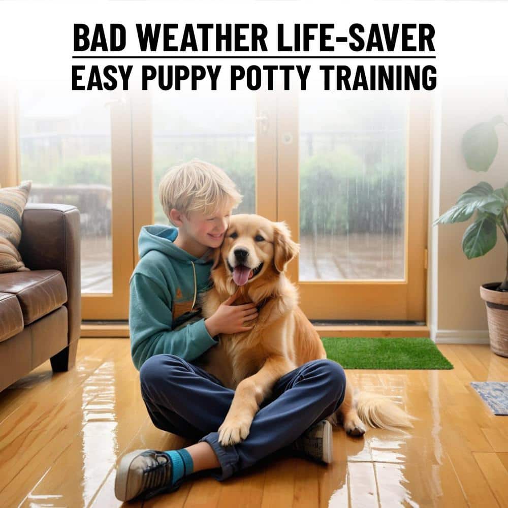 Ottomanson Pet Training Easy Clean 3 ft. x 3 ft. Indoor/Outdoor Green Reusable Training Artificial Grass Pad, Runner Rug