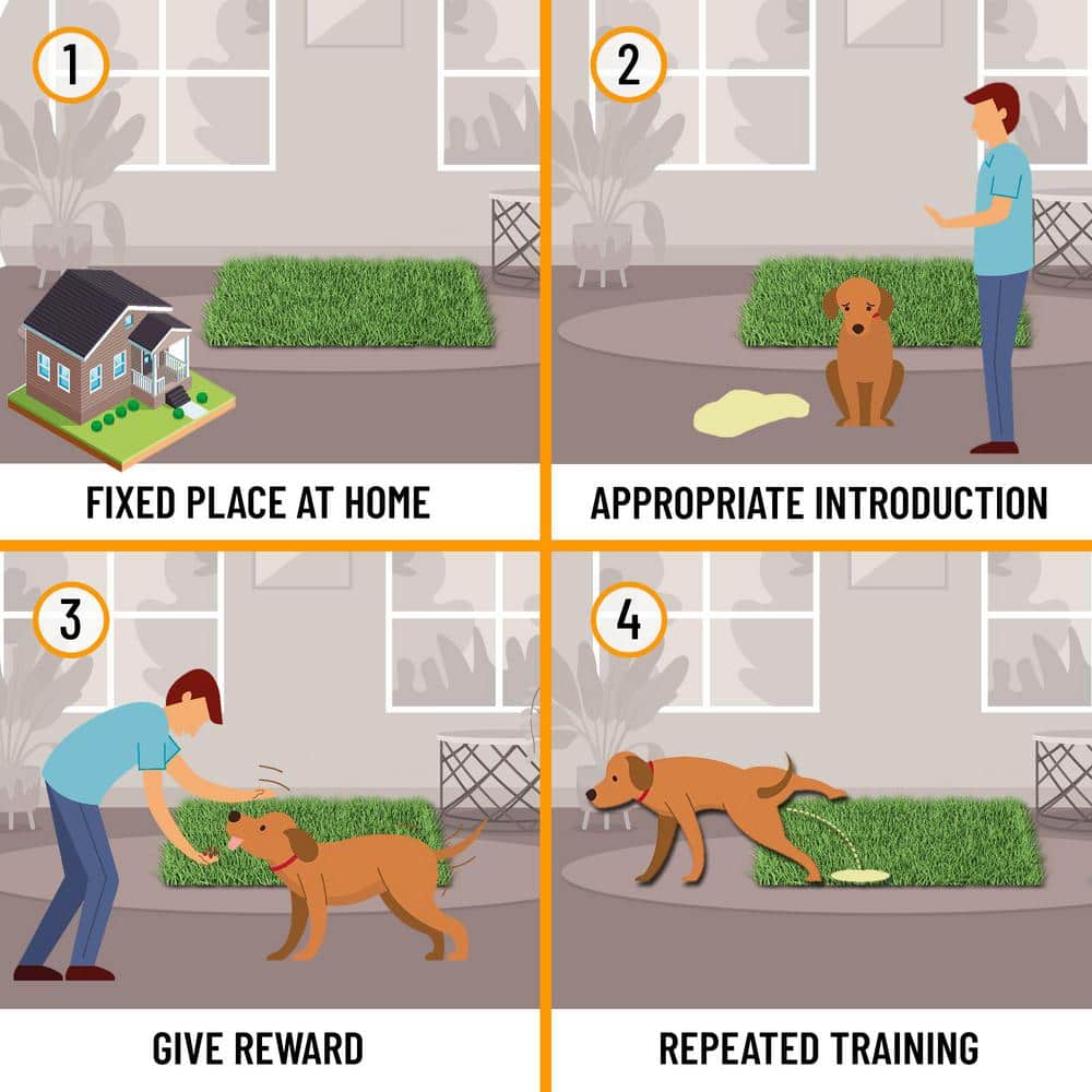 Ottomanson Pet Training Easy Clean 3 ft. x 5 ft. Indoor/Outdoor Green Reusable Training Artificial Grass Pad, Runner Rug