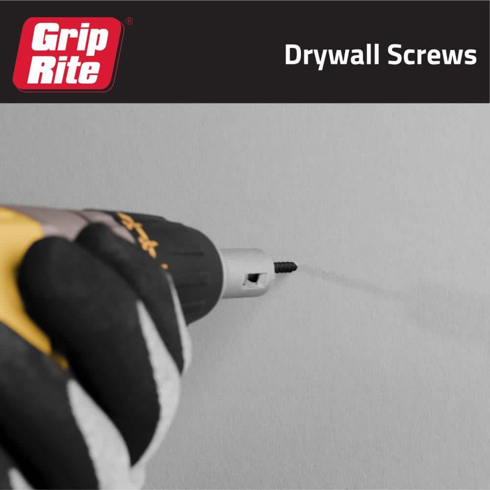 Grip-Rite #8 x 3 in. #2 Phillips Bugle-Head Coarse Thread Sharp Point Drywall Screws (1 lb. Pack)
