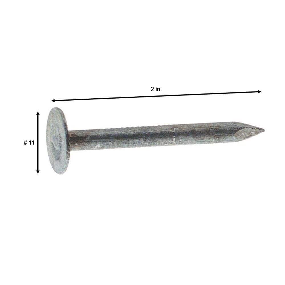 Grip-Rite 2 in. x 11-Gauge Electro-Galvanized Roofing Nails, 5 lb Box