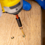 Grip-Rite #8 x 1-3/4 in. Phillips Bugle-Head Construction Screws, Yellow Zinc, 1 lb. Pack
