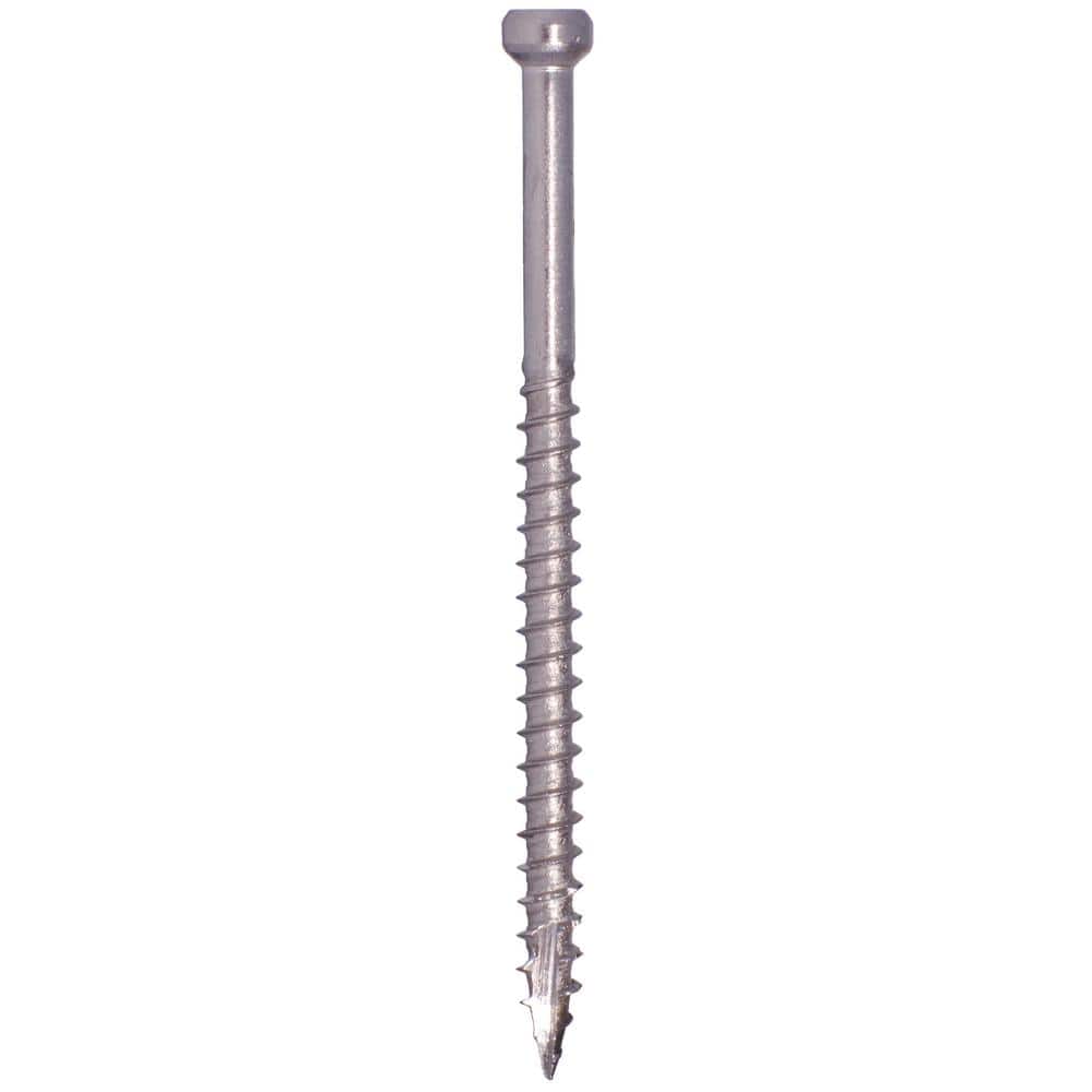 GRK Fasteners #8 x 3-1/8 in. Pheinox Stainless Steel Star Drive Trim Head Fin/Trim Finishing Screw (100-Pack)