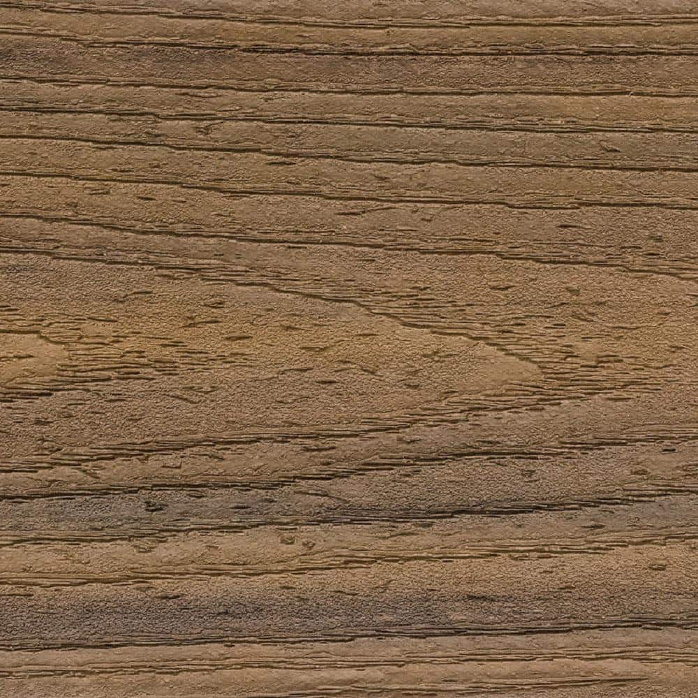 Trex Transcend 1 in. x 6 in. x 1 ft. Havana Gold Composite Deck Board Sample - Brown