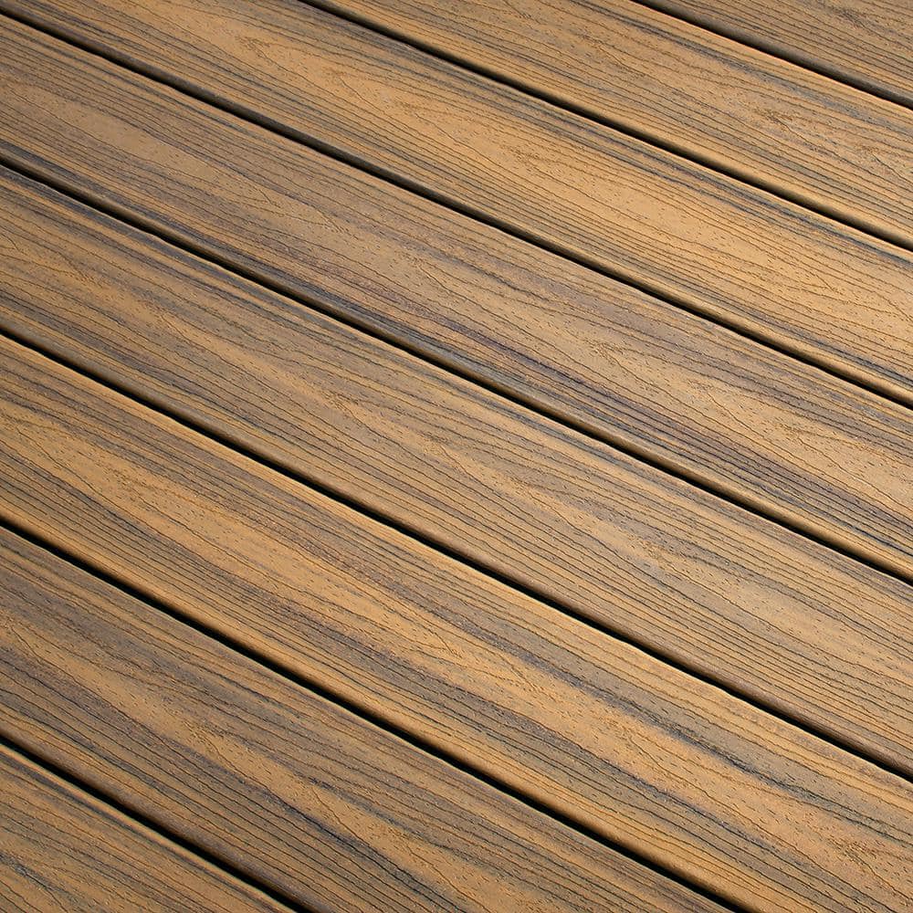 Trex Transcend 1 in. x 6 in. x 1 ft. Havana Gold Composite Deck Board Sample - Brown