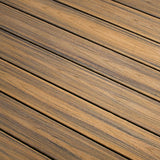 Trex Transcend 1 in. x 6 in. x 1 ft. Havana Gold Composite Deck Board Sample - Brown