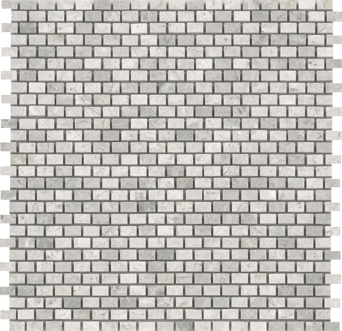 Emser Marble Silver 5-Pack, Silver, 12-in x 12-in Polished Natural Stone Floor & Wall Tile