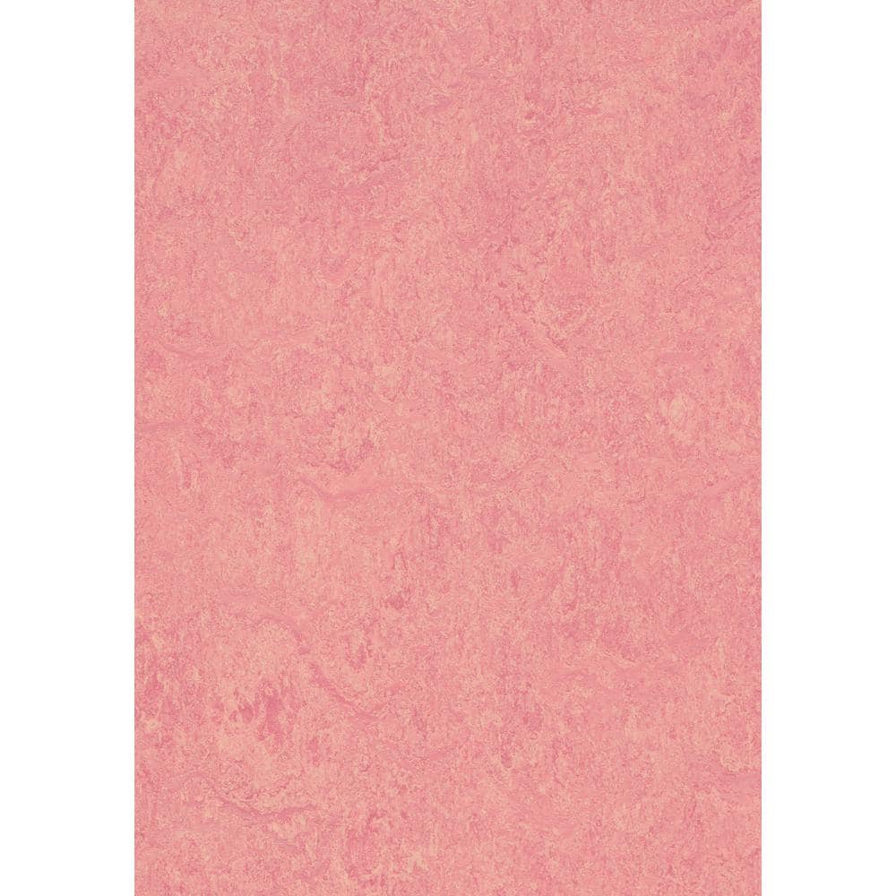 Marmoleum Cinch Loc Seal Honey Suckle 9.8 mm T x 11.81 in. W x 11.81 in. L Laminate Flooring (6.78 sq. ft./case)