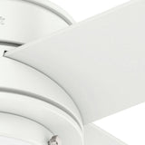 Hunter Hepburn LED 44-in Matte White Indoor Ceiling Fan with Light and Wall Control (4-Blade)