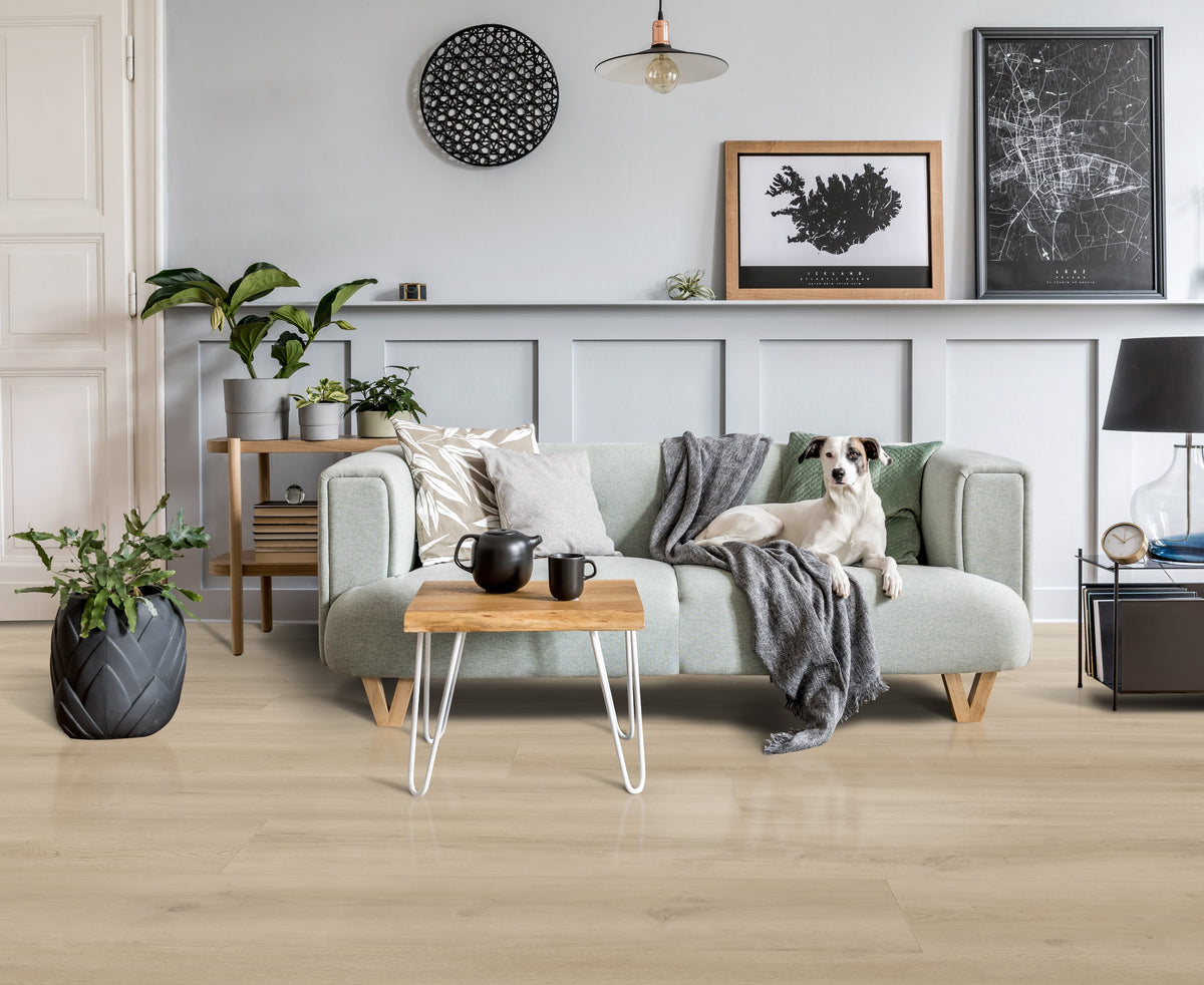CALI Longboards Coastline Cliff 8-mm x 9-in W x 70-in L Water-Resistant Luxury Vinyl Plank Flooring (26.62-sq ft/case)