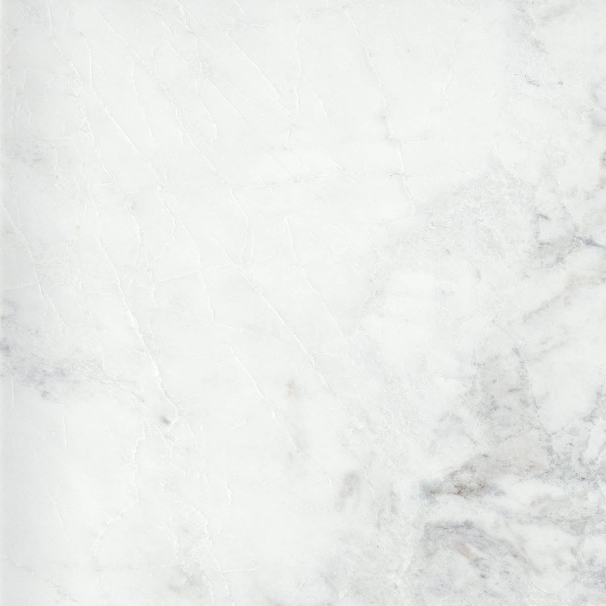 Emser Kalta Fiore 24 in. x 24 in. Polished Natural Stone Marble Look Tile