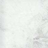 Emser Kalta Fiore 24 in. x 24 in. Polished Natural Stone Marble Look Tile