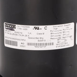 Trane KIT02589 blower motor - label view (Product Type: Blower Motor)