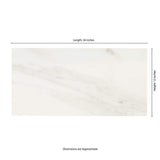 MSI Kolasus White 12 in. x 24 in. Polished Porcelain Floor and Wall Tile (16 sq. ft./case)