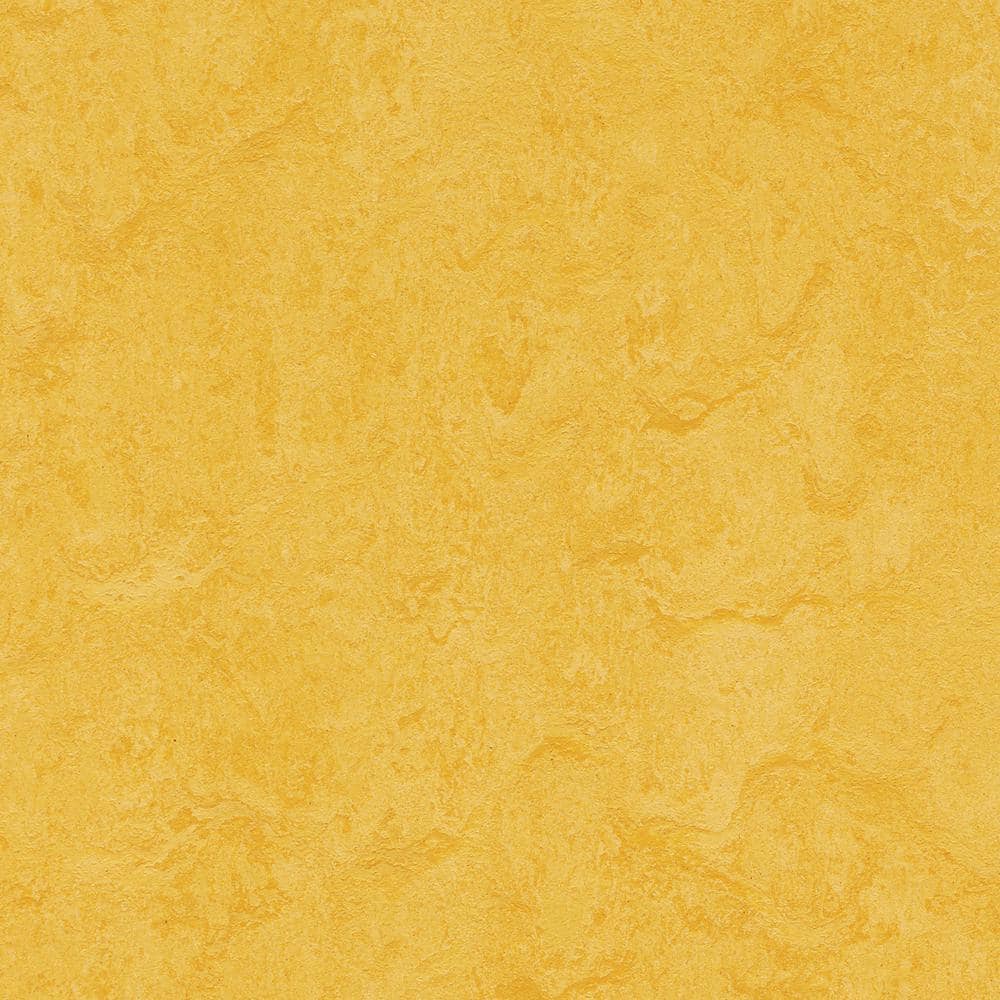 Marmoleum Cinch Loc Seal Lemon Zest 9.8 mm T x 11.81 in. W x 11.81 in. L Laminate Flooring (6.78 sq. ft./case)