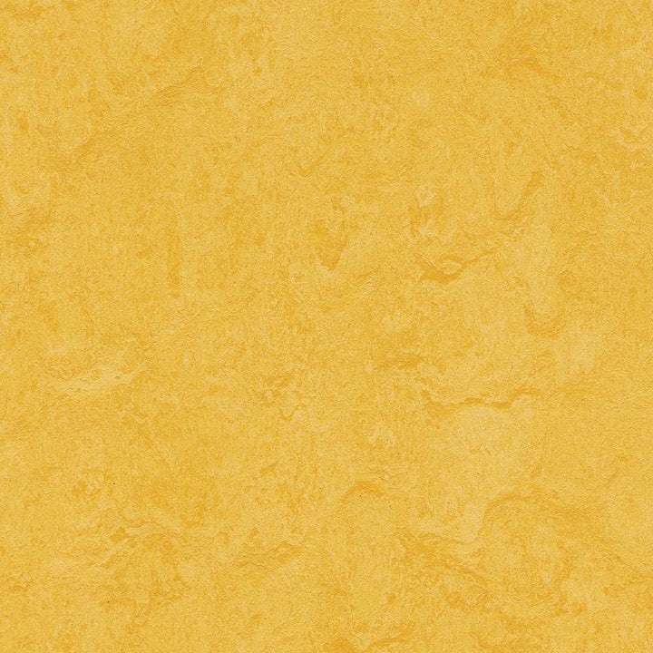 Marmoleum Cinch Loc Seal Lemon Zest 9.8 mm T x 11.81 in. W x 11.81 in. L Laminate Flooring (6.78 sq. ft./case)