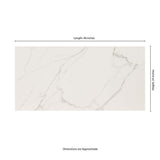 MSI Leonardo Venato 24 in. x 48 in. Polished Porcelain Marble Look Floor and Wall Tile (32 cases/512 sq. ft./pallet)