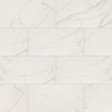 MSI Leonardo Venato 24 in. x 48 in. Polished Porcelain Marble Look Floor and Wall Tile (32 cases/512 sq. ft./pallet)