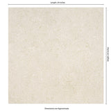 MSI Livingstyle Pearl 2 cm. x 24 in. x 24 in. Matte Porcelain Stone Look Paver (8 sq. ft./Case)