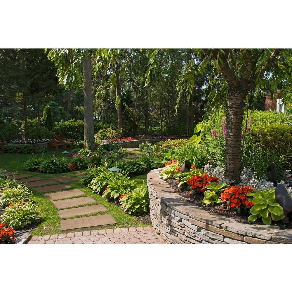 MSI Lucas Betulla 2 cm. x 12 in. x 48 in. Matte Porcelain Wood Look Paver Tile (56 sq. ft. / pallet)