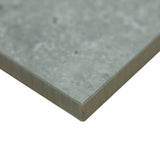 MSI Take Home Tile Sample - Lunar Silver 6 in. x 6 in. Matte Porcelain Paver Floor Tile (0.25 sq. ft.)