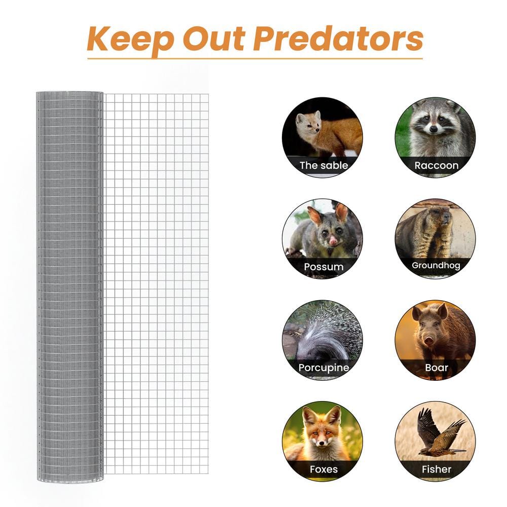 maocao hoom 1/2 inch Galvanised Wire Mesh Rolls, Chicken Coop Wire Mesh, Gopher Barrier Welded Wire Mesh Fence, Rat Fence