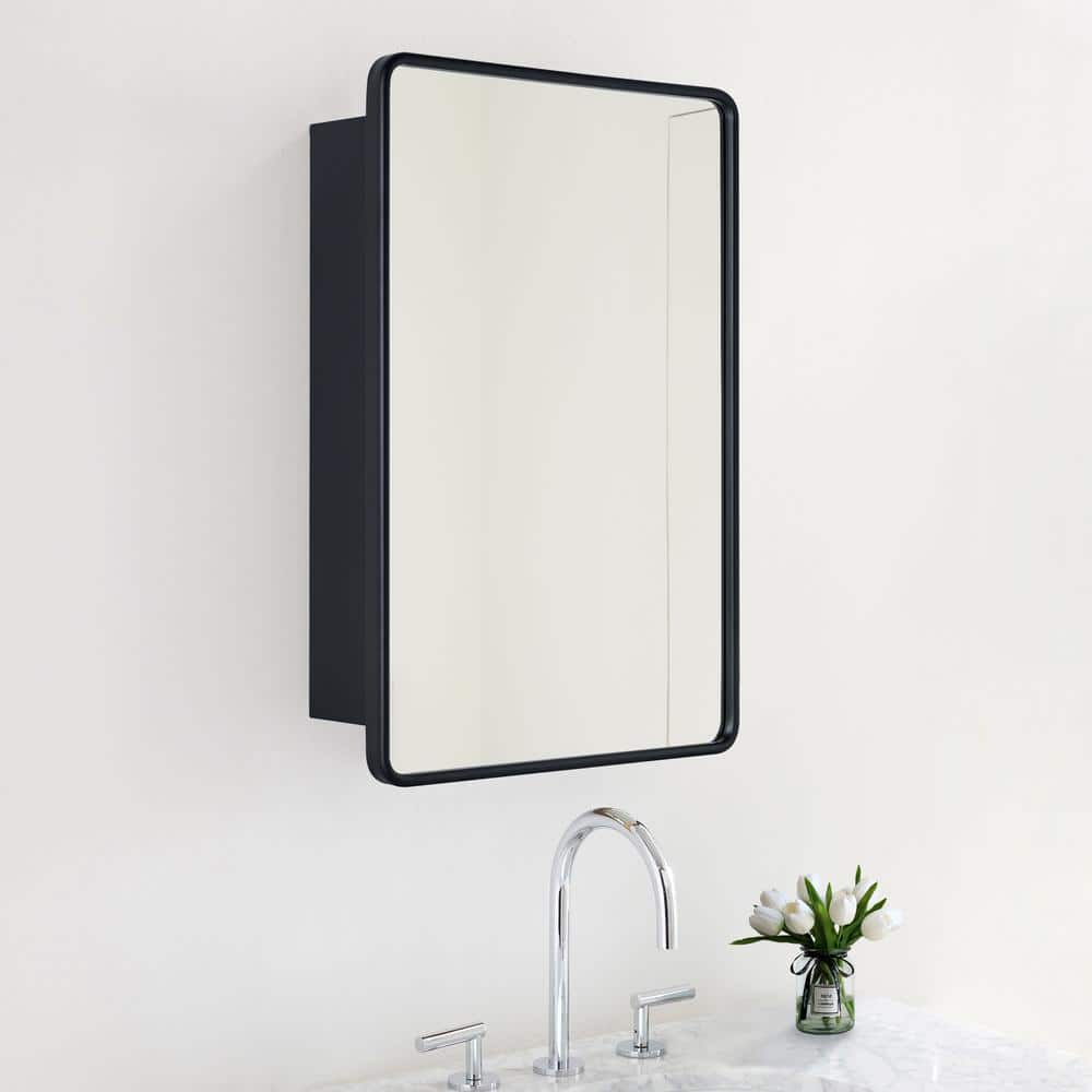 TEHOME Eldee 16 in. W x 24 in. H Surface Mount Rectangular Metal Framed Bathroom Medicine Cabinet with Mirror in Matt Black
