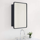 TEHOME Eldee 16 in. W x 24 in. H Surface Mount Rectangular Metal Framed Bathroom Medicine Cabinet with Mirror in Matt Black